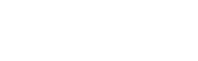 The Selem Center